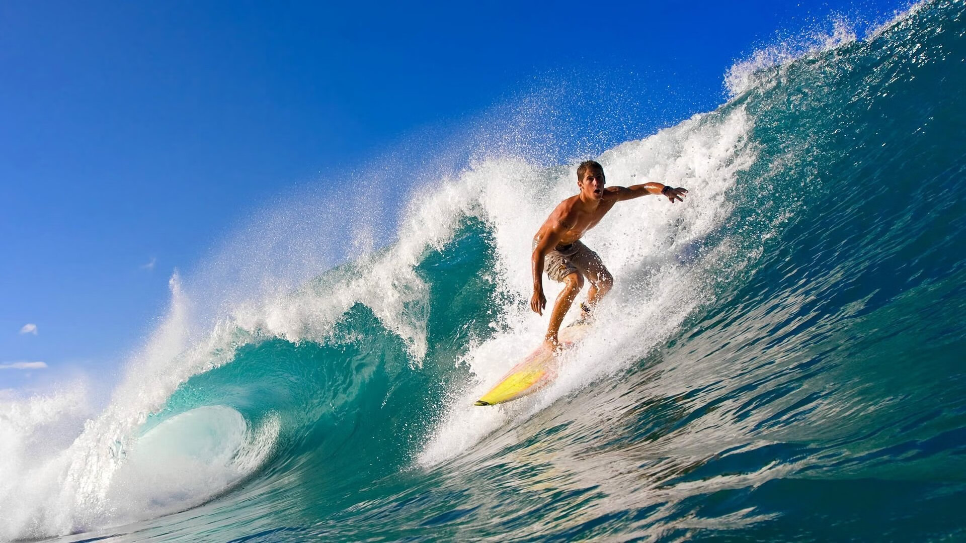 哈兰德禁区内的终结效率令对手后卫担忧,哈兰德fm